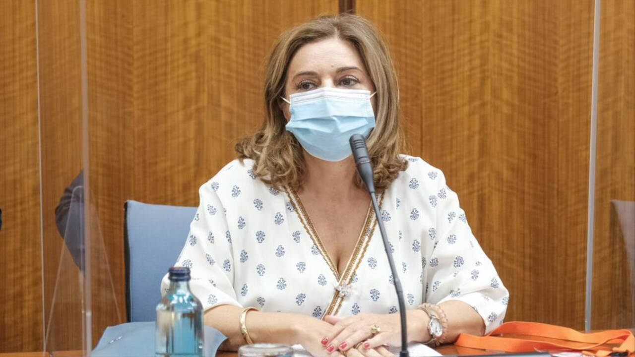 La mujer del secretario general del PSOE-A, Carmen Ibanco, declarando la comisión de investigación de la Faffe.