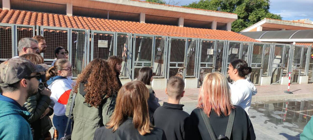 Curso de prevención de violencia en el refugio de animales de Valencia.
