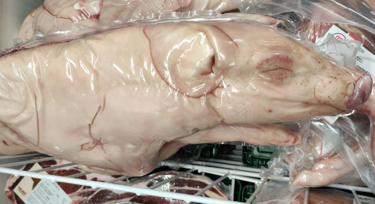 Imagen archivo de un cerdo envasado al vacío. 