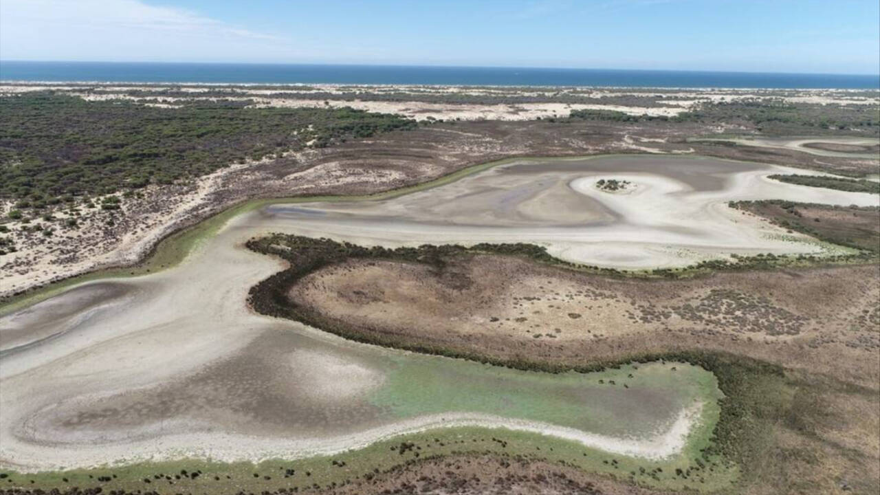 La laguna permanente de Doñana en una imagen de este verano completamente seca.