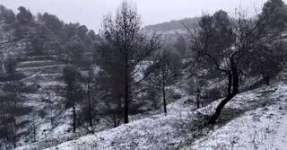 Domingo bajo cero: Dónde hay nieve en la Comunidad Valenciana