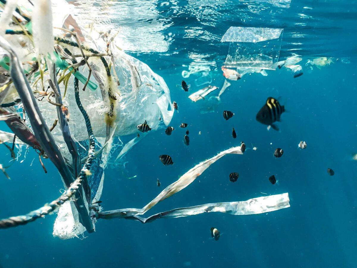 Océanos de plástico: mucho más allá de lo visible