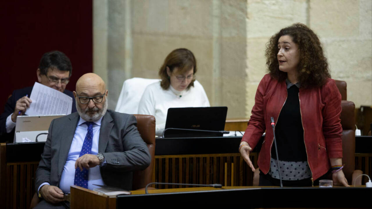 La portavoz del Grupo Por Andalucía, Inmaculada Nieto, en un pleno reciente en el Parlamento.