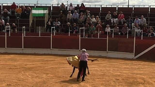A José Ortega Cano casi le pilla una vaquilla en una capea-homenaje en Sevilla