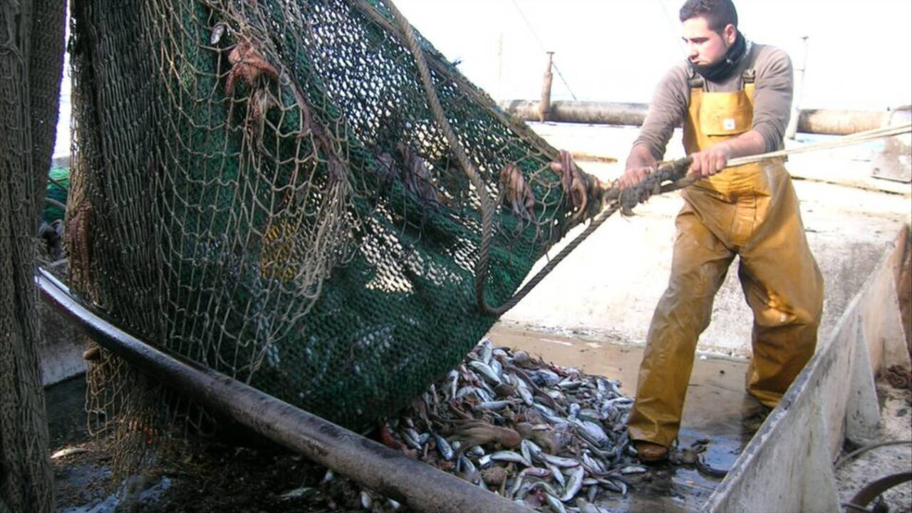 Pesca de arrastre en Andalucía.