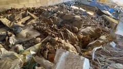 Las escalofriantes imágenes de restos óseos que intenta 'tapar' el Ayuntamiento