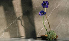 Ikebana: la práctica japonesa de arreglos florales que combina arte y filosofía