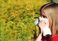  ¿Es un resfriado o es alergia?