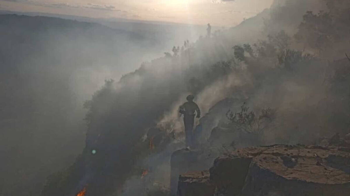 Incendio forestal de Alzira.