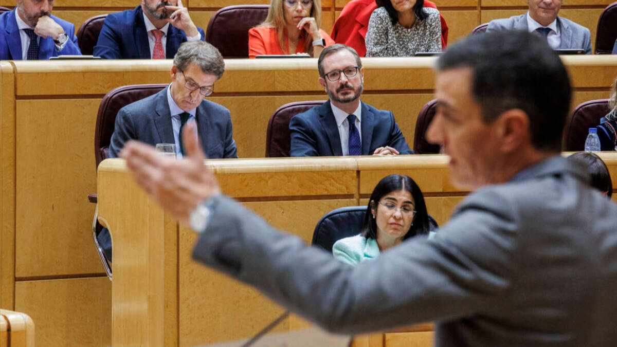 El presidente del Gobierno, Pedro Sánchez, comparece en un pleno del Senado.