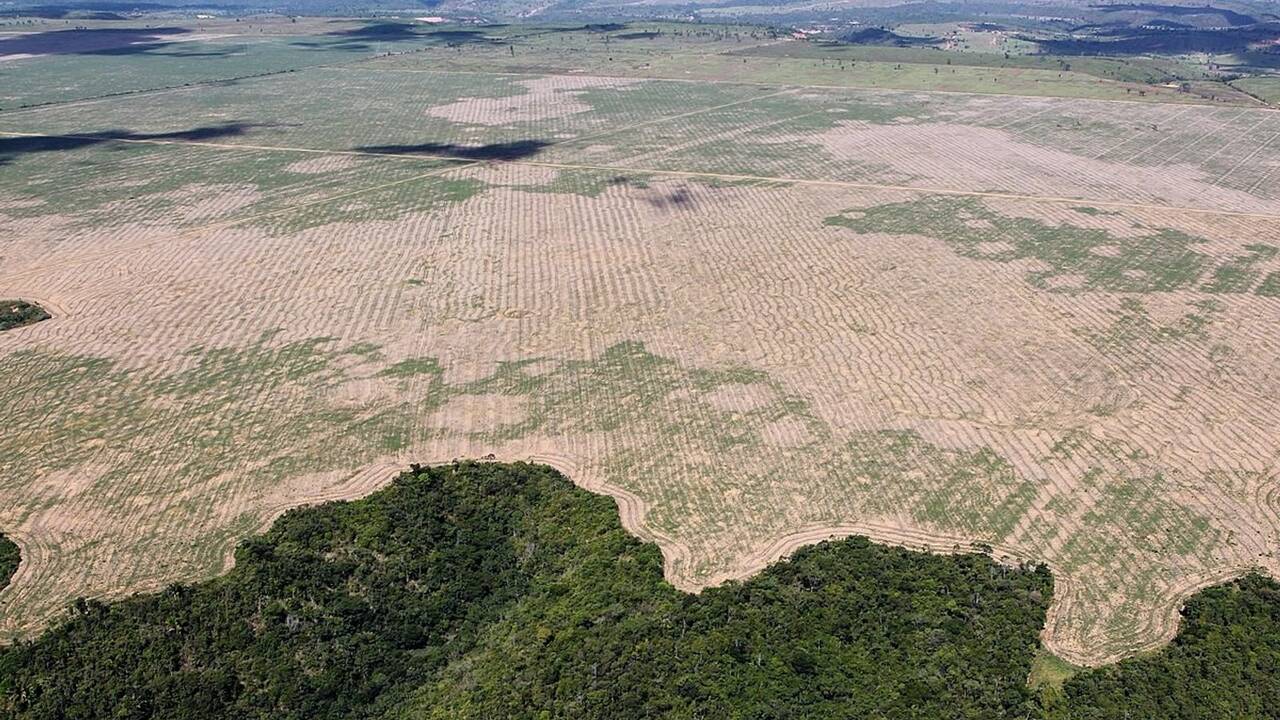 Deforestación Amazonas