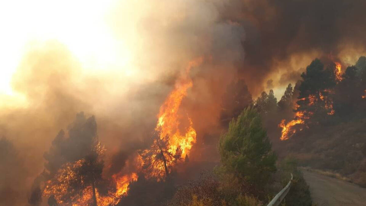 Incendio forestal de Villanueva de Viver / Imagen de archivo.