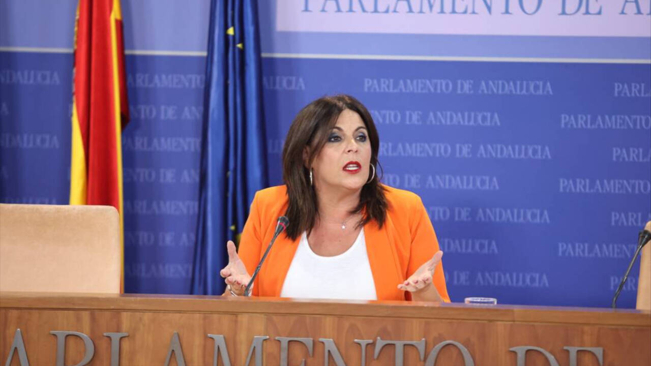 La portavoz parlamentaria del PSOE-A, Ángeles Férriz.