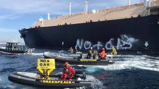 Greenpeace exige un cambio drástico en las políticas de salud y medio ambiente 
