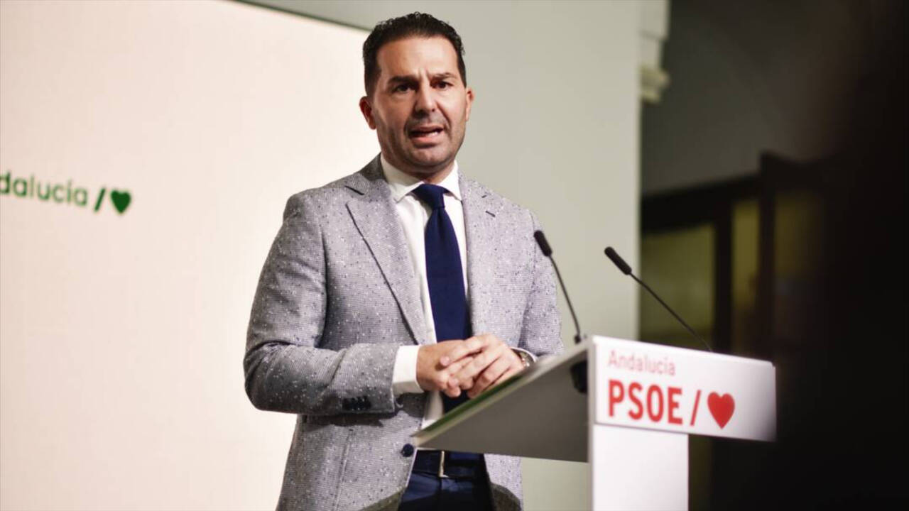 El secretario de Organización del PSOE-A, y exalcalde de Maracena, Noel López.