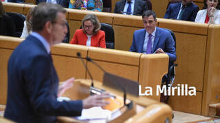 El presidente del Gobierno, Pedro Sánchez, escucha al líder de la oposición, el líder popular Alberto Núñez Feijóo, durante un debate en el Senado.