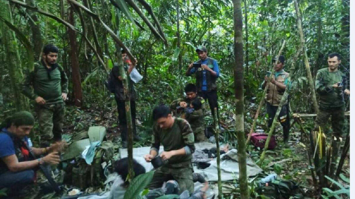 Los rescatadores atienden a los niños en la selva.