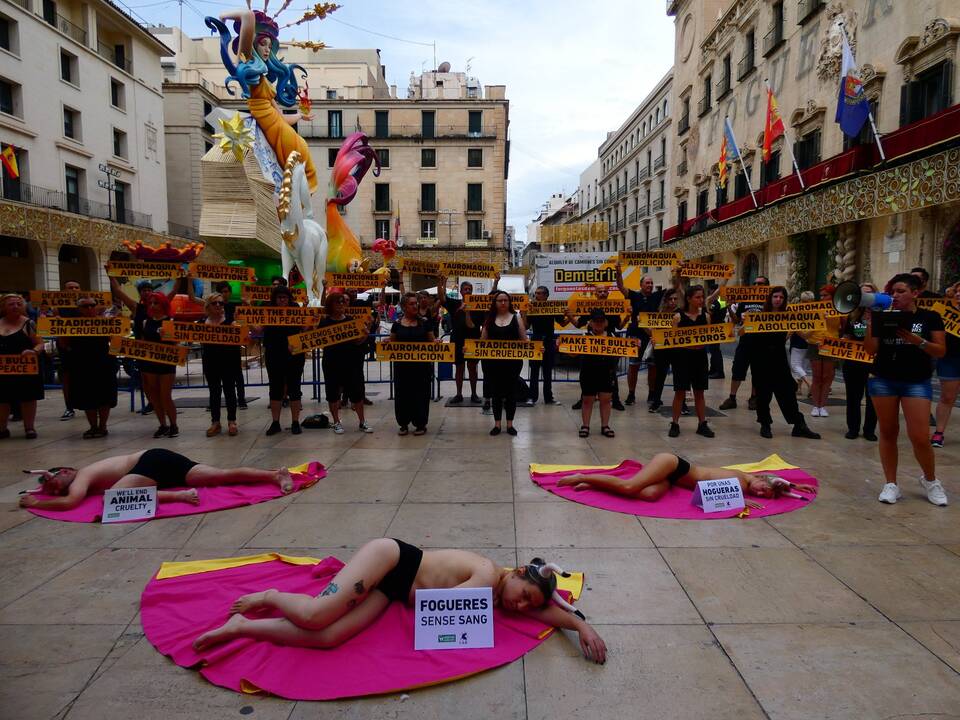 Protesta de  AnimaNaturalis ante el Ayuntamiento de Alicante.