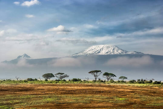 De la consulta al Kilimanjaro