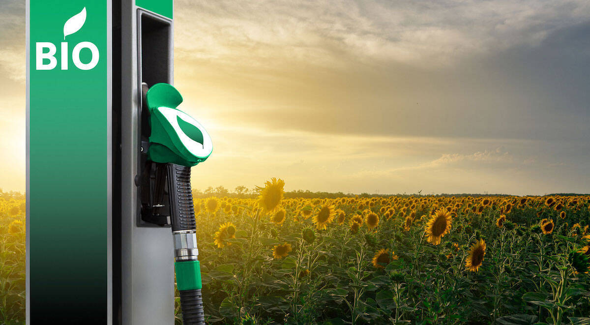 Los biocombustibles son una solución eficaz para ayudar a la descarbonización.