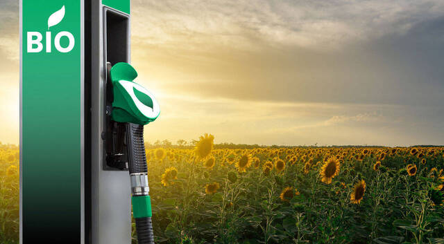 Los seis biocombustibles con más futuro para impulsar la descarbonización