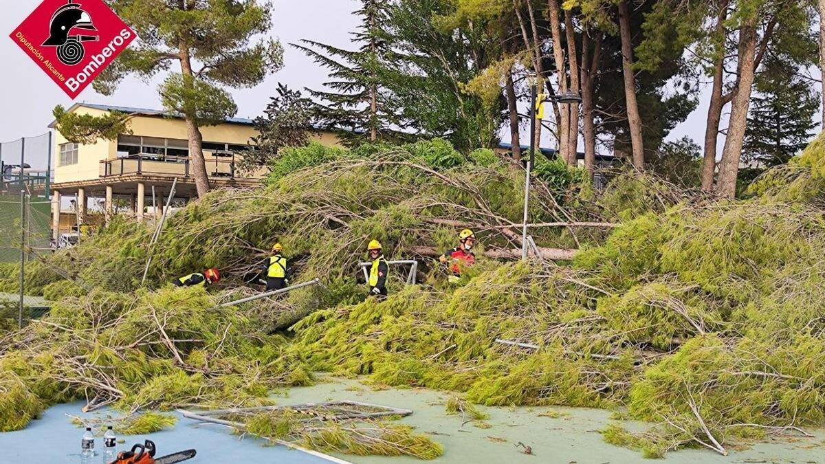 Decenas de  árboles caídos en Villena