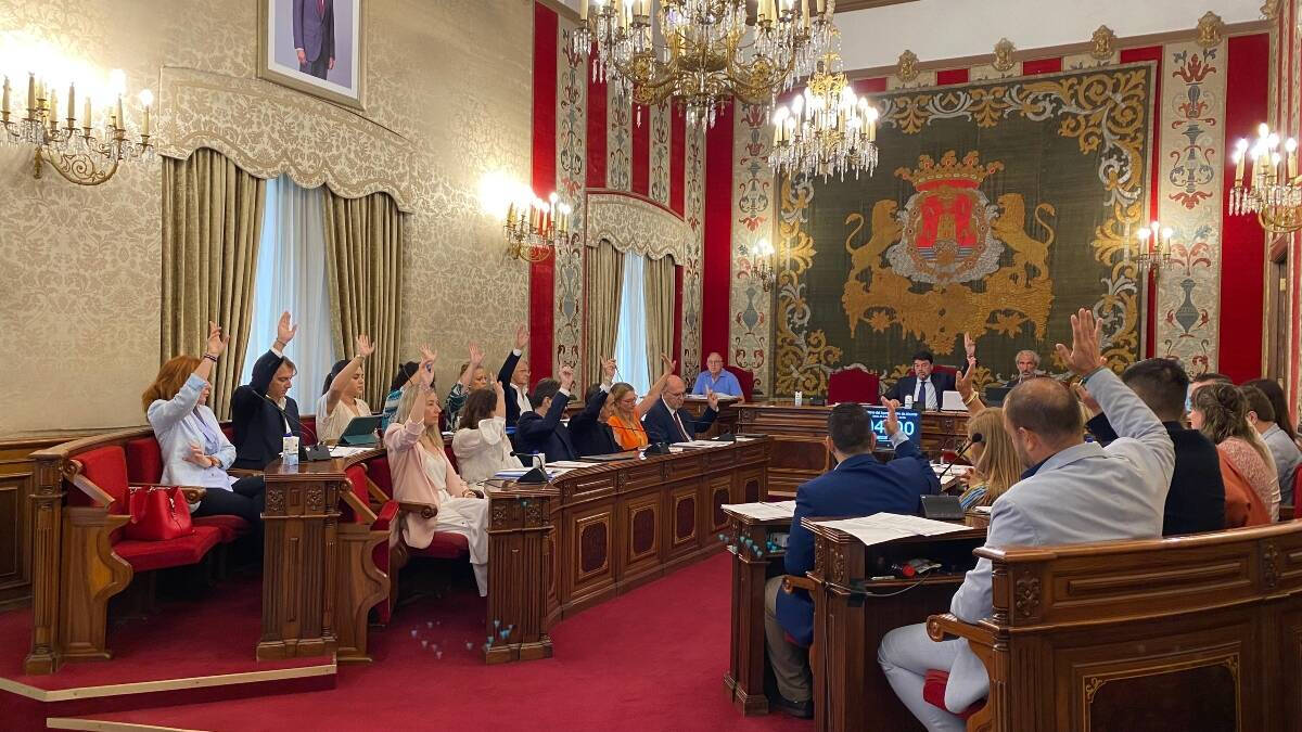 Pleno Ayuntamiento de Alicante