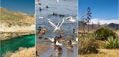 Parque Natural del Cabo de Gata-Níjar: descubre su flora y fauna