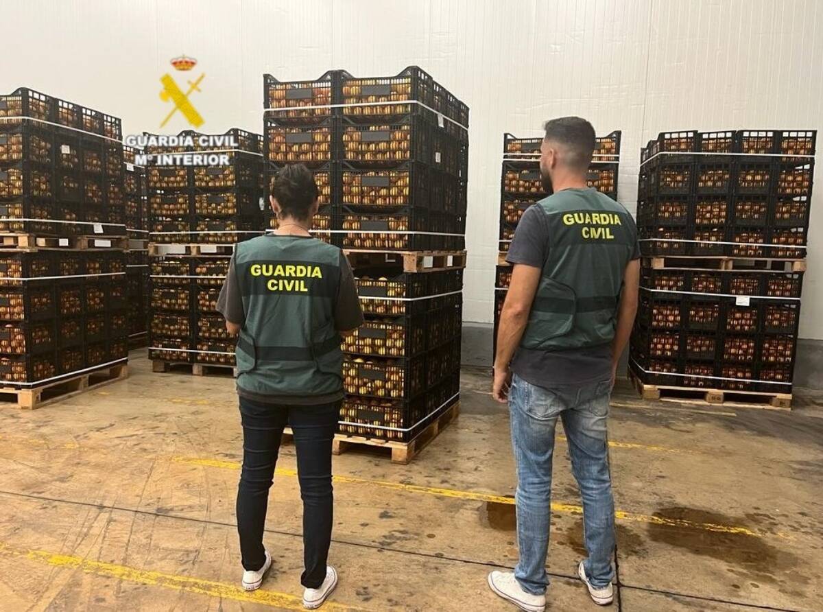 Dos detenidos por robar en un almacén 25 toneladas de naranjas