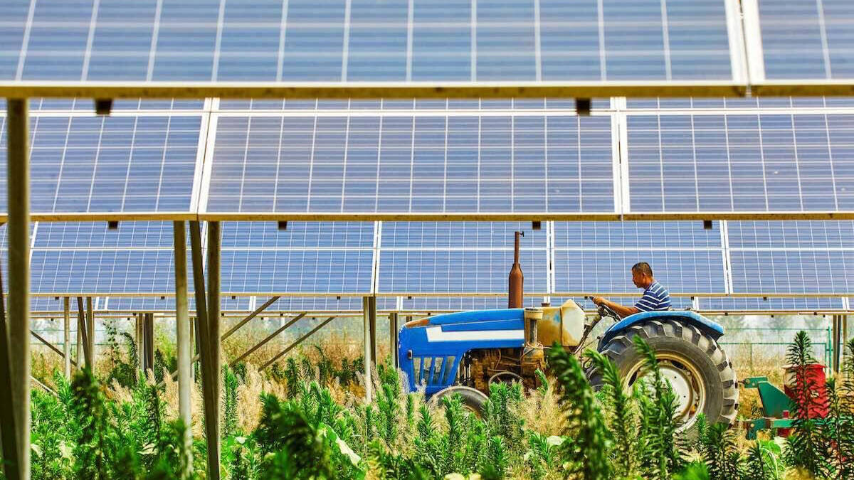 La agrovoltaica busca la máxima sinergia entre la energía fotovoltaica y la agricultura.