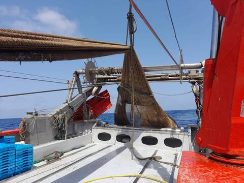 Barca de arrastre de Xàbia rescata a gran tiburón de más de 2.000 kiloes atrapado en la red