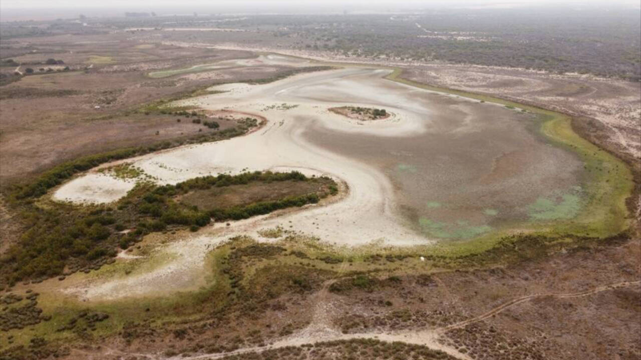 La laguna de Santa Olalla en Doñana, casi seca, este mes de agosto.