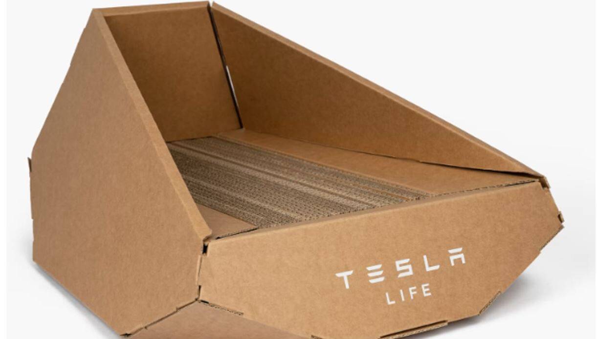 Cama para gatos de Tesla - Elon Musk
