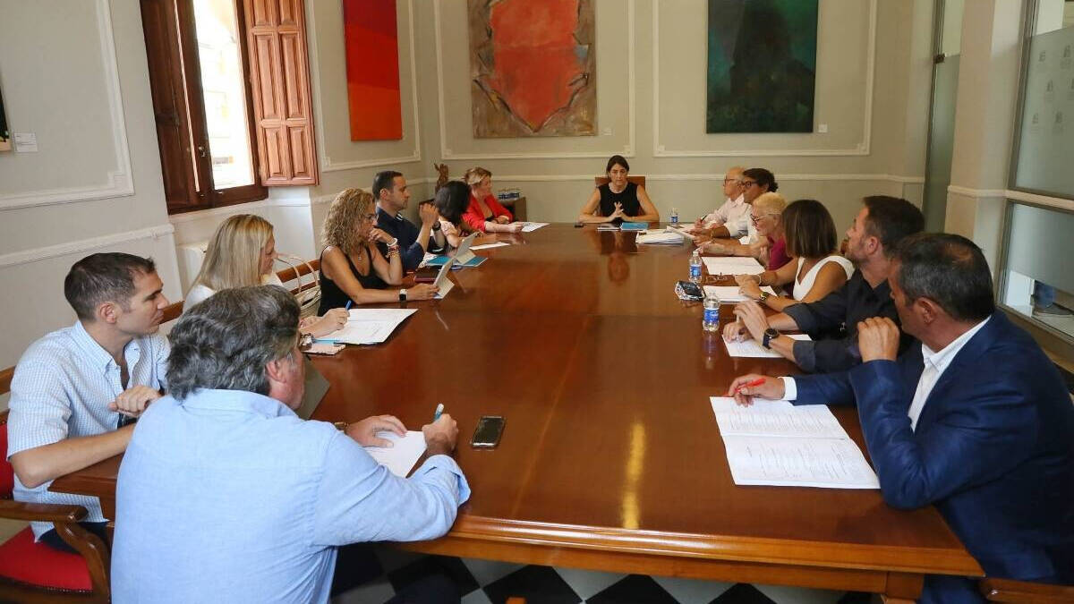 La Diputación de Alicante constituye las siete comisiones informativas permanentes.