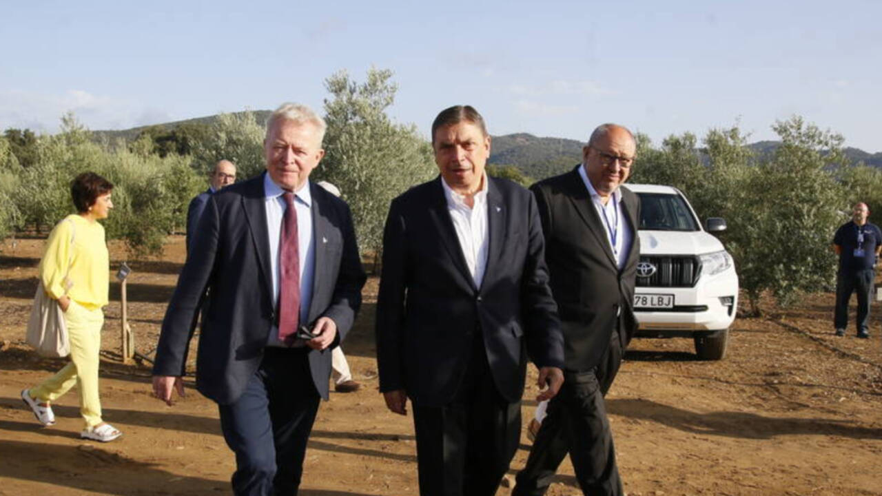 El ministro Planas visita una finca de olivar en Córdoba con los ministros europeos.