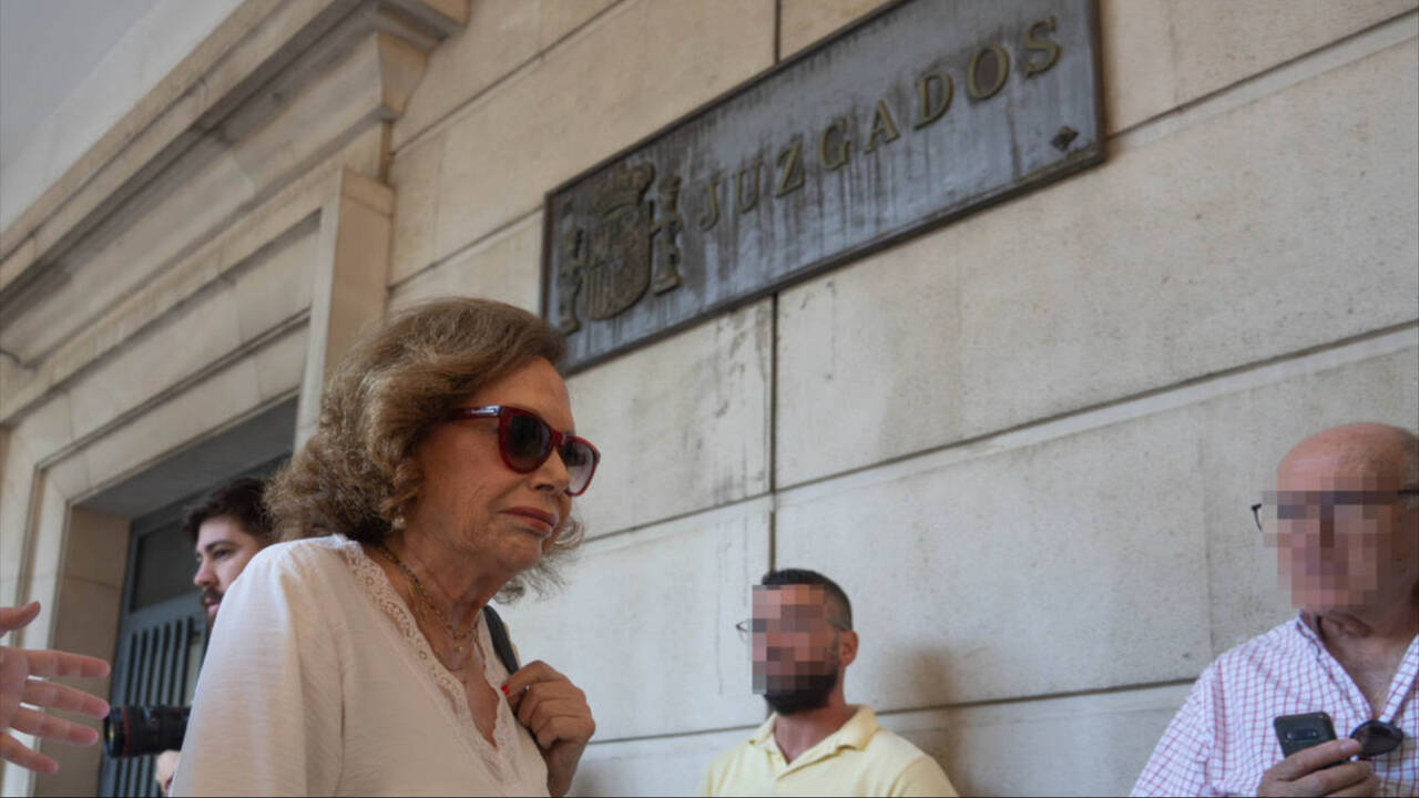 La expresidenta del PSOE de Sevilla, Amparo Rubiales en los juzgados de la capital hispalense.