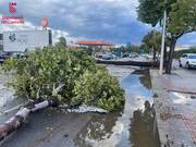 El viento huracanado y la tromba de agua provocan el caos en Burriana, Nules y Almassora