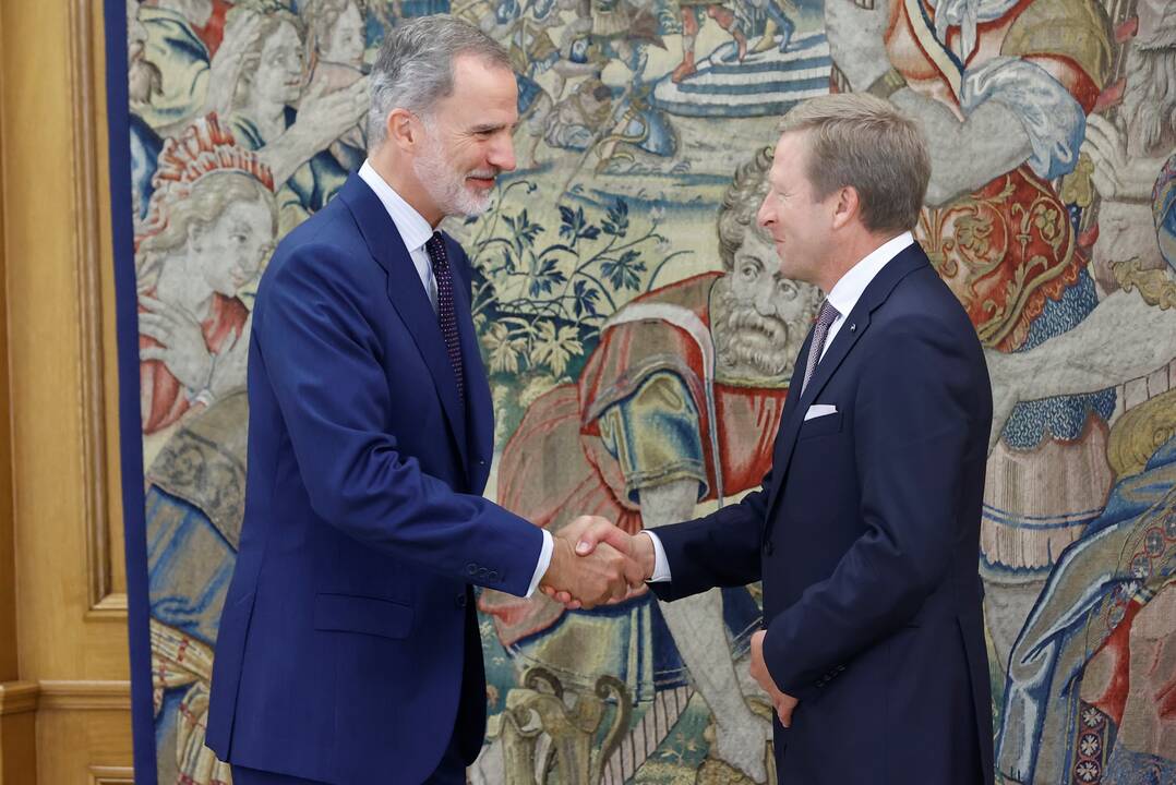 El rey Felipe VI recibe a Oliver Zipse, presidente del consejo de administración de BMW
