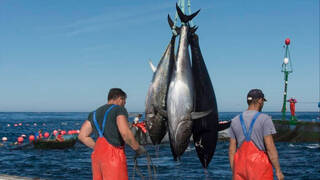 Pesca España y Junta de Andalucía se alían en busca de un acuerdo para el sector