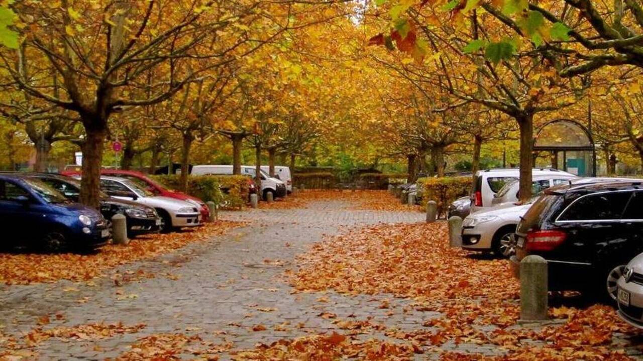 Parking en otoño