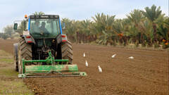 El campo se moviliza para proteger la agricultura y ganadería española