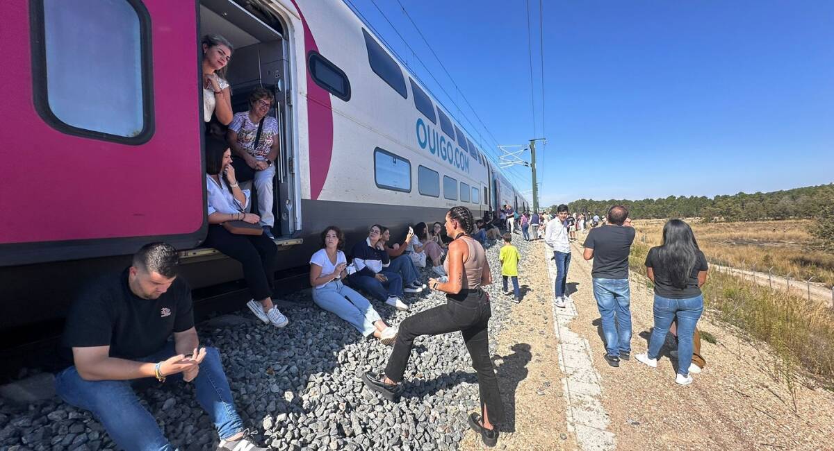 Afectados por la interrupción del servicio de trenes de alta velocidad que enlazan la Comunitat Valenciana y Madrid, parados en mitad de la vía en uno de los trenes afectados - @VGUTIERREZVLC