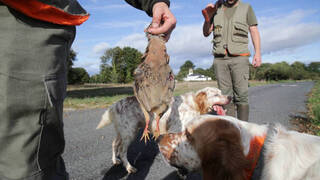 Vox protegerá la caza y enmendará la Ley de Bienestar Animal