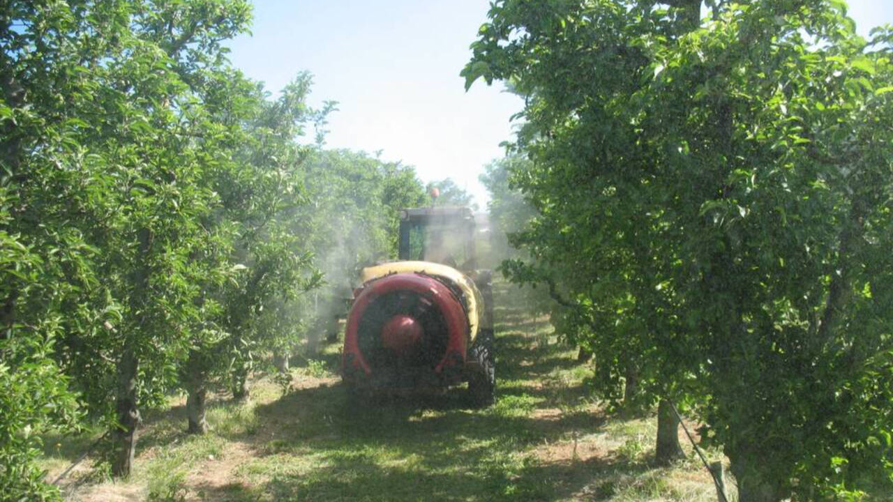 Un tractor aplica productos fitosanitarios en en una plantación 