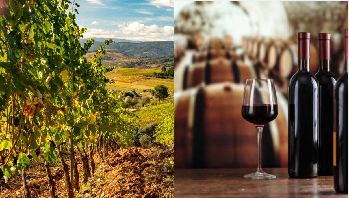 Denominaciones de Origen de vino en Castilla y León