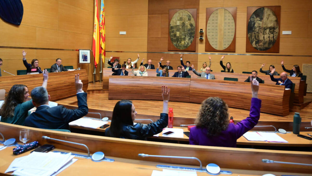 Pleno Ayuntamiento de Valencia
