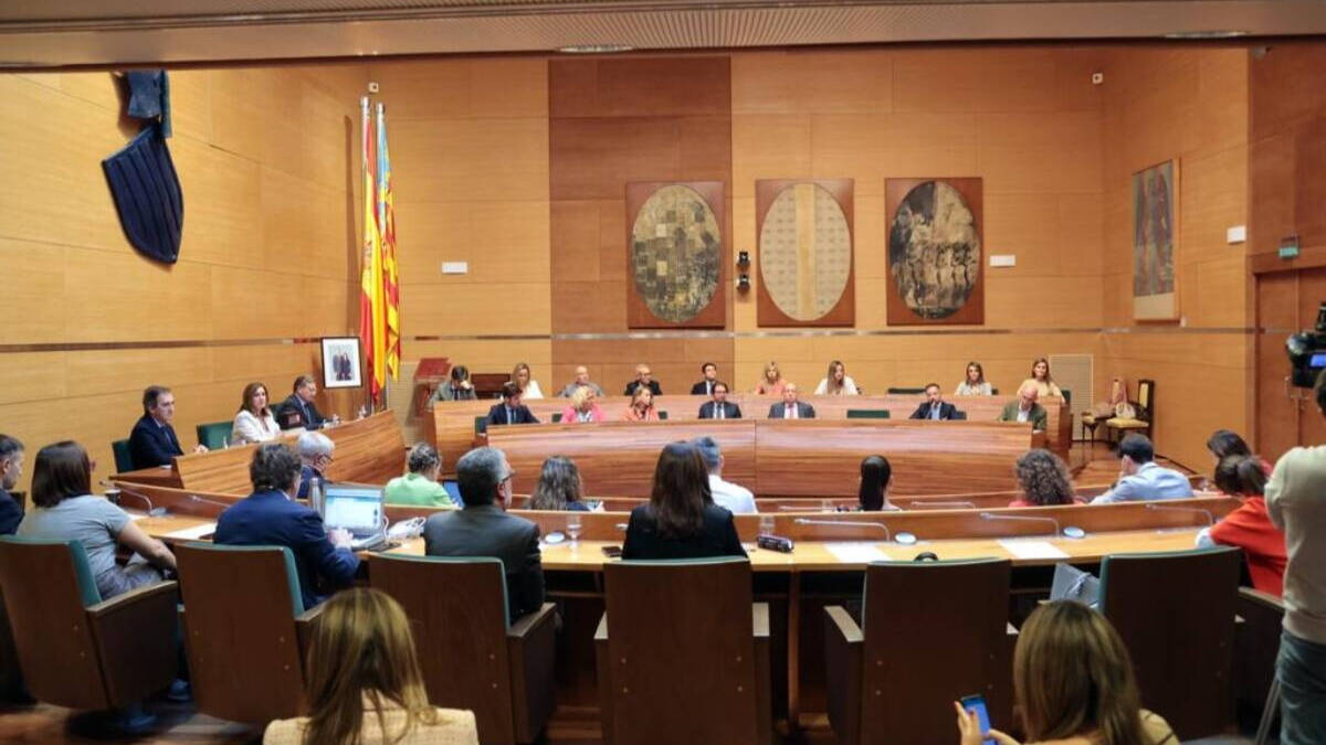 pleno extraordinario del Ayuntamiento de Valencia celebrado en la Diputación por las obras.