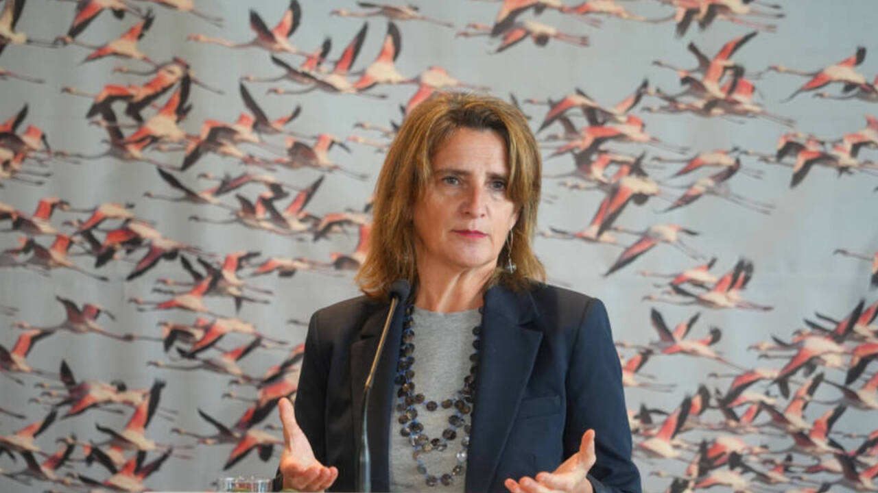 La ministra de Transición Ecológica y Reto Demográfico, Teresa Ribera, tras la firma del acuerdo de Doñana.