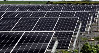 La Diputación escuchará a los municipios afectados por la megaplanta Arada Solar
