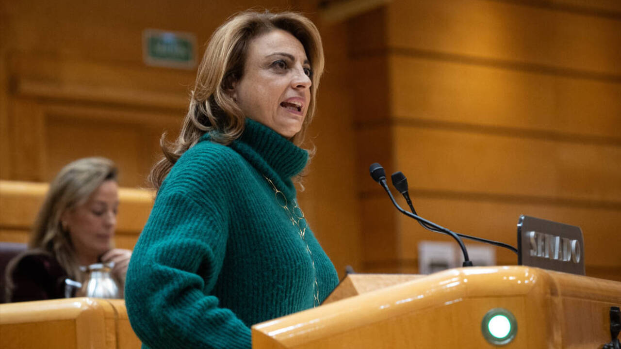 La diputada de Coalición Canaria, Cristina Valido, interviene en el Pleno del Congreso durante el debate sobre los decretos del Gobierno